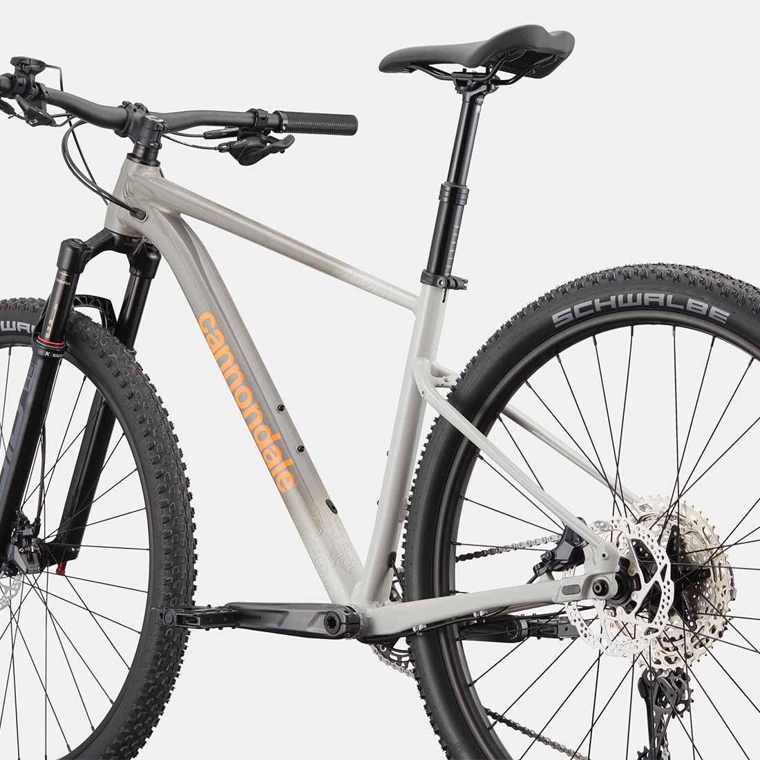 Cannondale 29 M Trail SL 1 C26152M10XL Stealth Grey