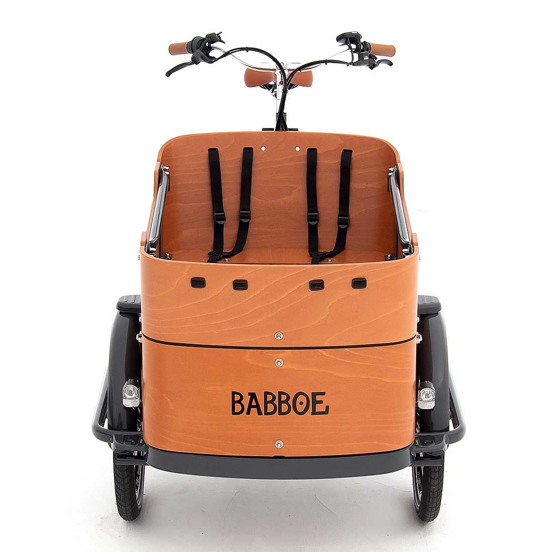 Babboe Curve Mountain