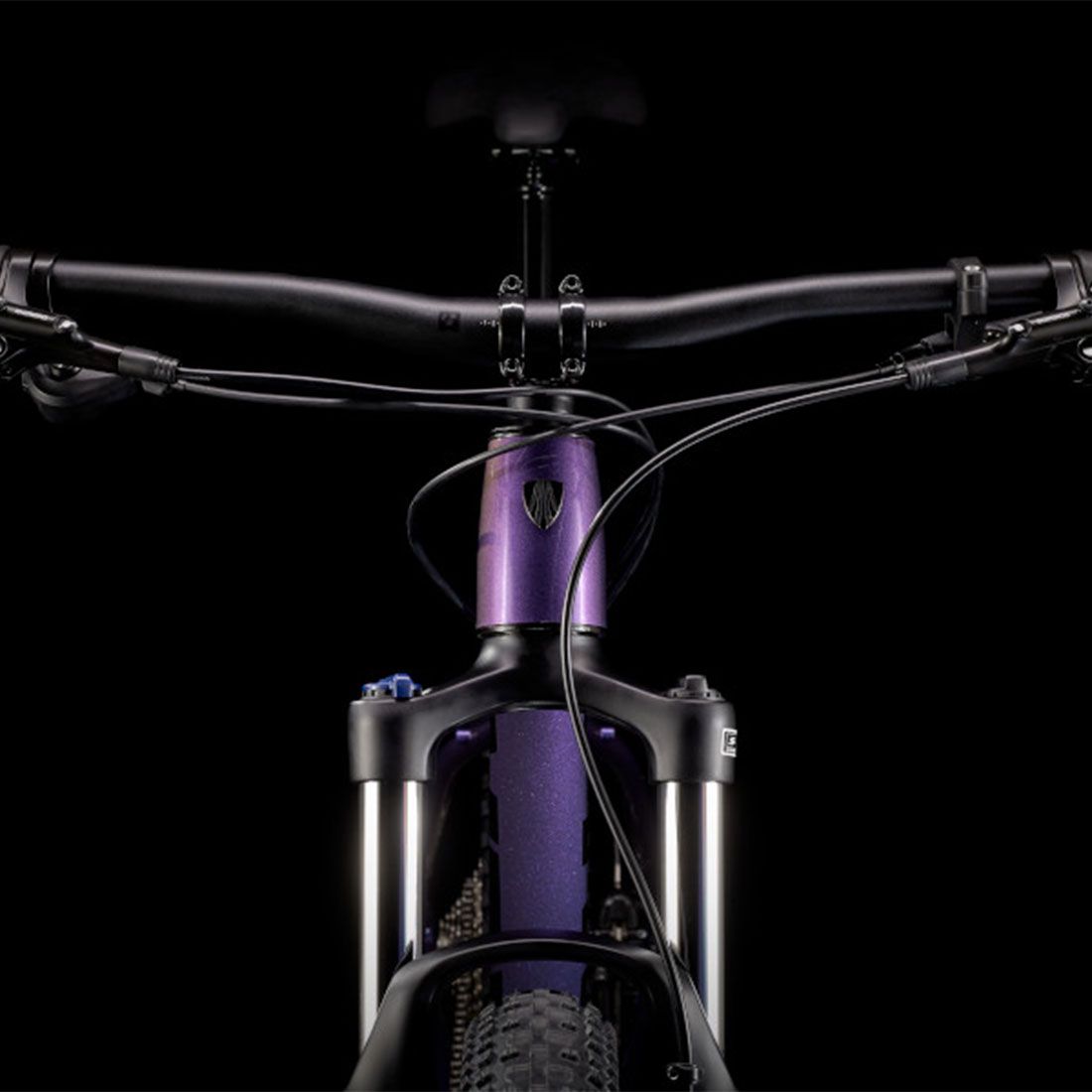 Trek Bicycle Roscoe 6 Trek Roscoe 6 L Purple Flip/Trek Black