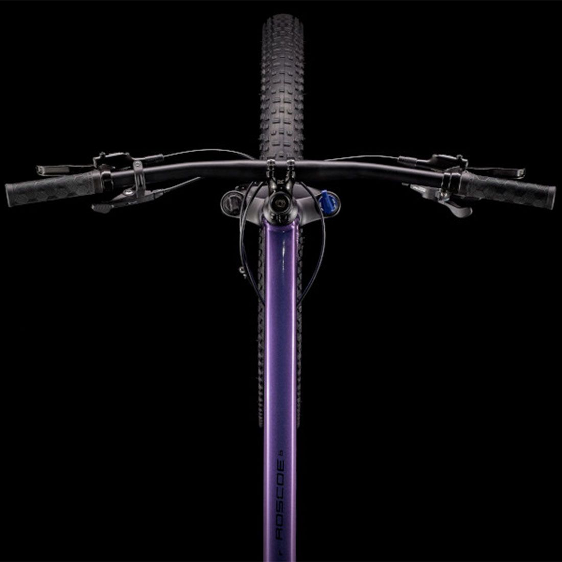 Trek Bicycle Roscoe 6 Trek Roscoe 6 L Purple Flip/Trek Black