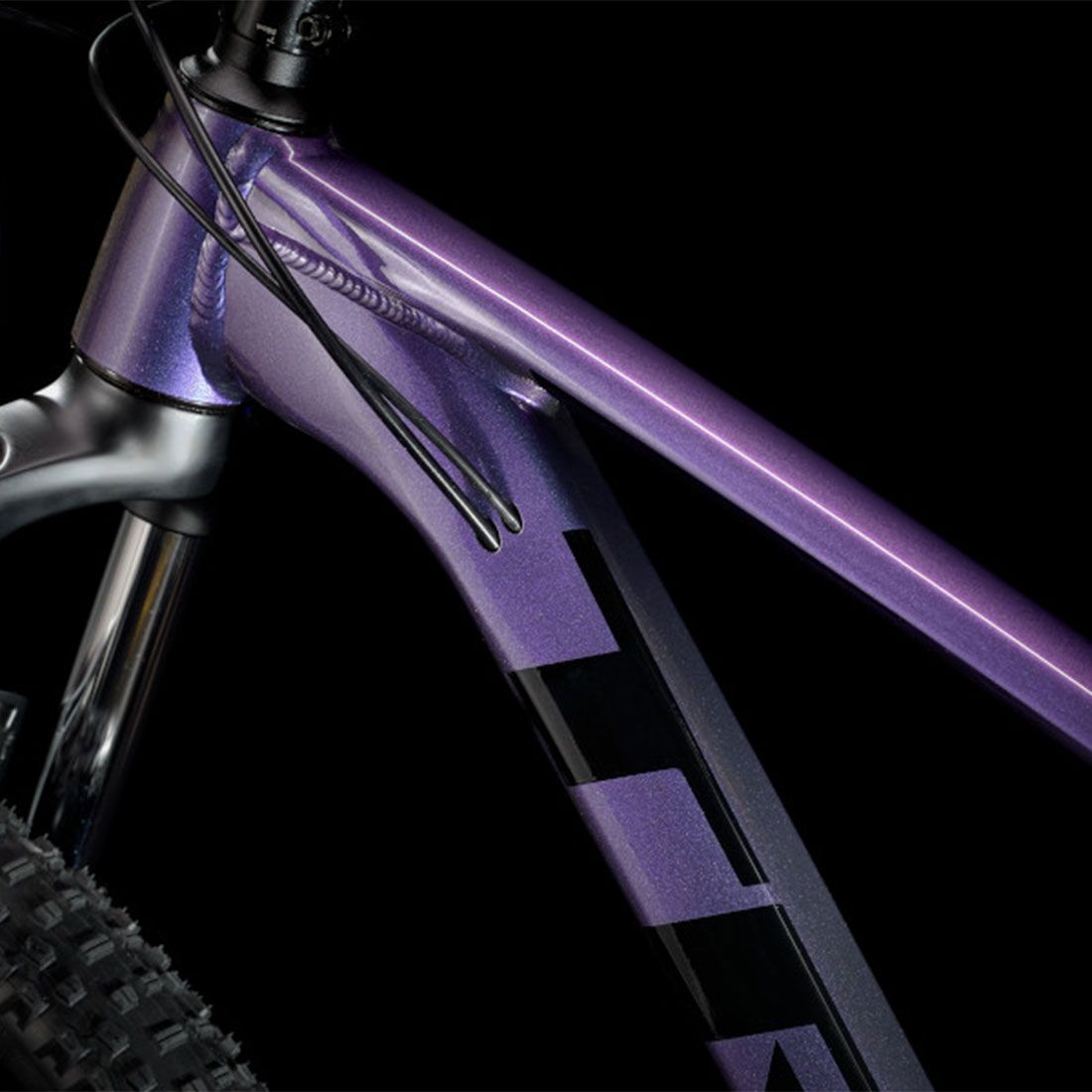 Trek Bicycle Roscoe 6 Trek Roscoe 6 L Purple Flip/Trek Black