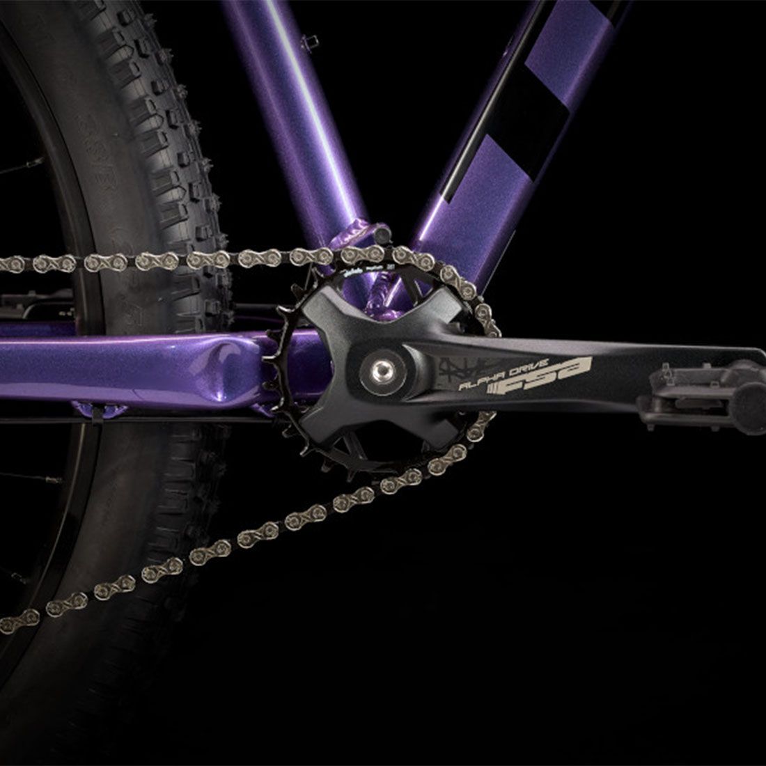 Trek Bicycle Roscoe 6 Trek Roscoe 6 L Purple Flip/Trek Black