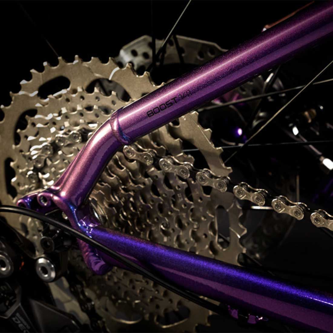 Trek Bicycle Roscoe 6 Trek Roscoe 6 L Purple Flip/Trek Black