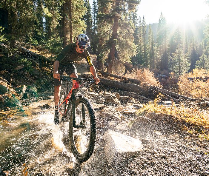 Mountainbiker fährt durch einen Waldweg mit Wasser und Felsen, Sonnenlicht scheint durch die Bäume