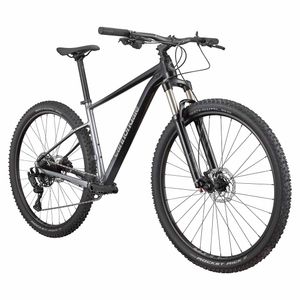 Cannondale 29 M Trail SL 4 C26452M10LG Grey